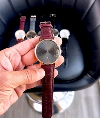 Rado New Model Brown Strap Formal Analog Watch 