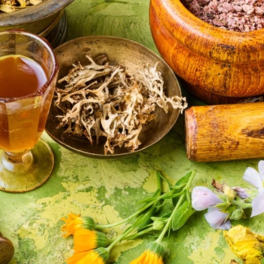 Herbal Wellness