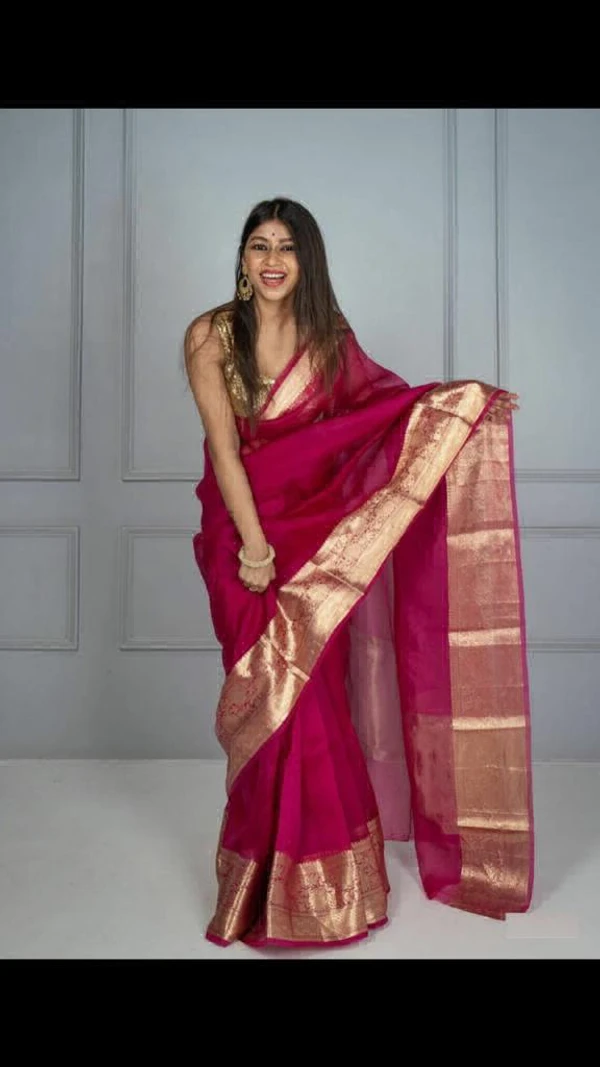 Beautiful Organza Work GARI WORL SAREE - Rani