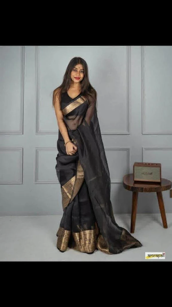 Beautiful Organza Work GARI WORL SAREE - Black