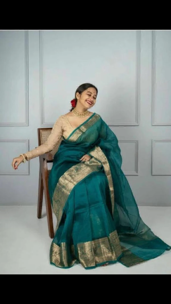 Beautiful Organza Work GARI WORL SAREE - Green