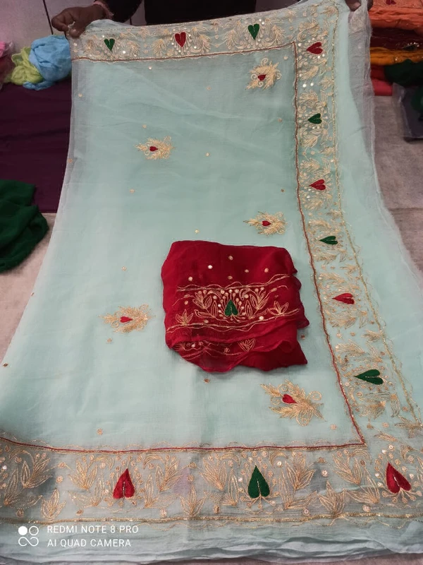 Beautiful Embroidery Work Saree - sky blue