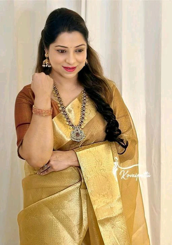 Beautiful Banarasi Tissue Saree - Gold