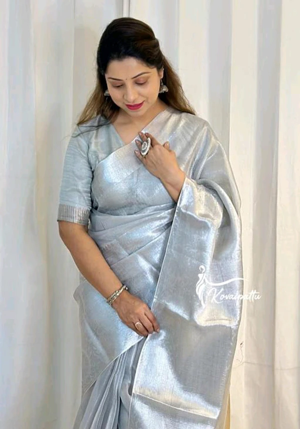 Beautiful Banarasi Tissue Saree - Gray