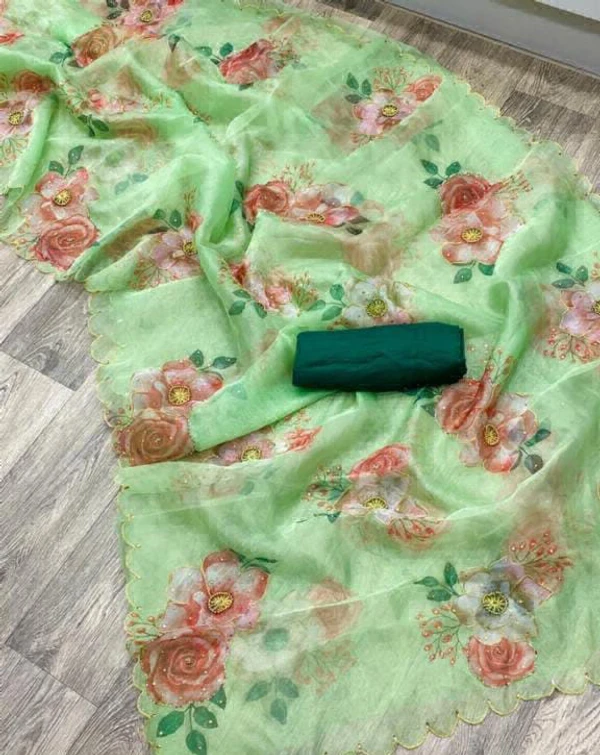 Beautiful Organza Saree  - Green