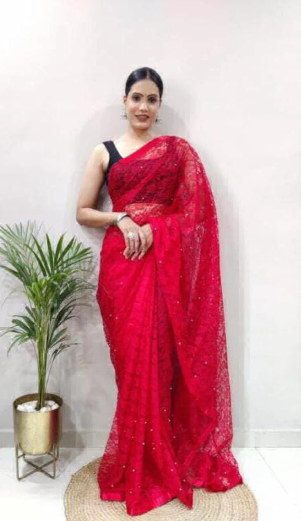 Beautiful Net Braso Saree - Red