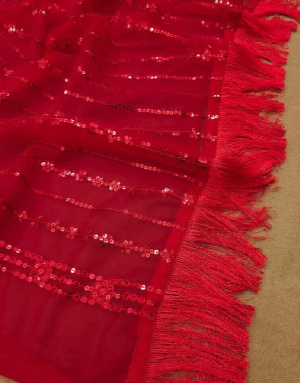 Beautiful Soft Net Saree - Red