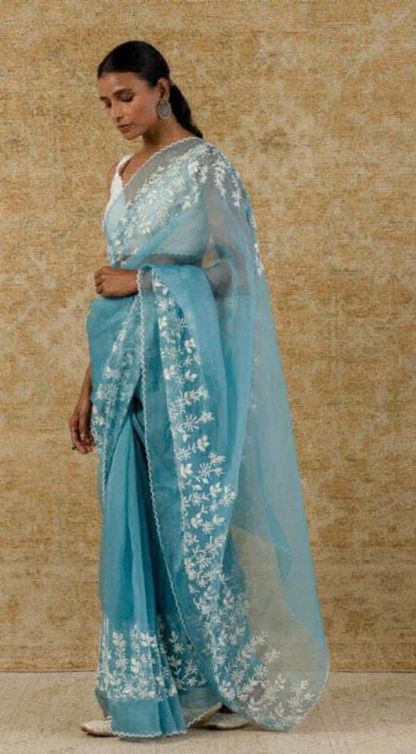 Organza Saree Embroidery Work  - sky blue