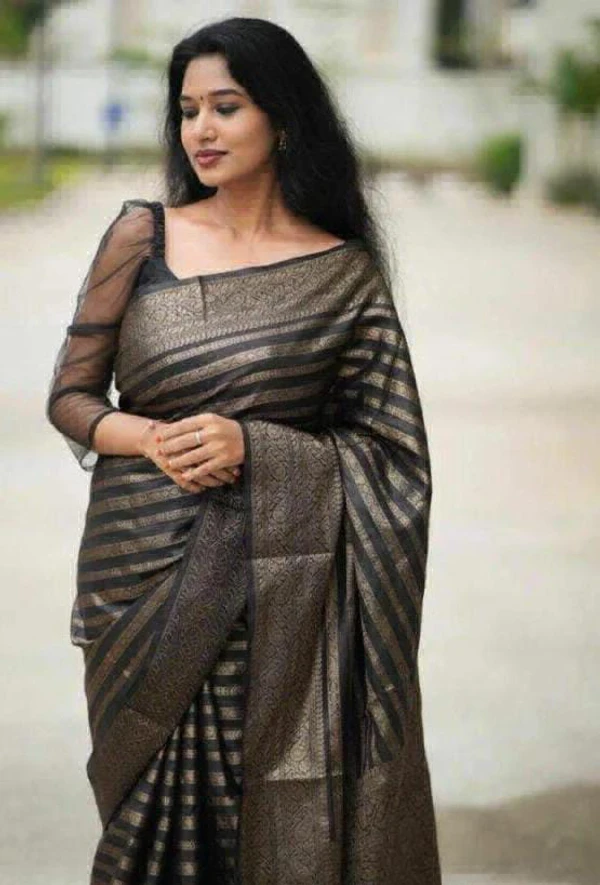 Beautiful Lechi Silk Saree - Black