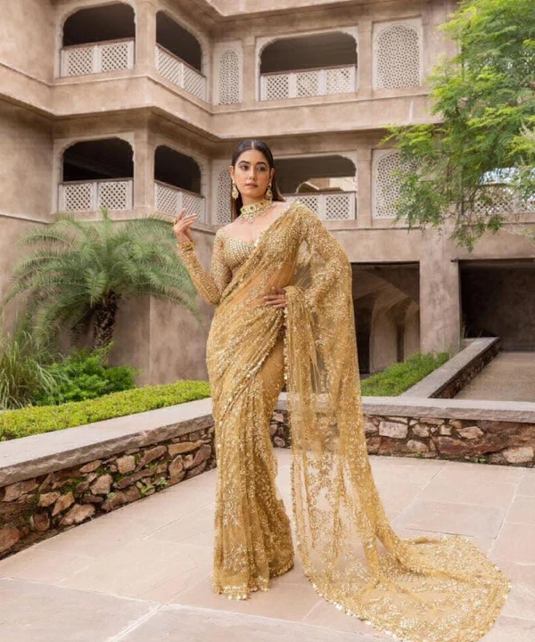 Blockbuster Net Embroidery Sequence Saree
