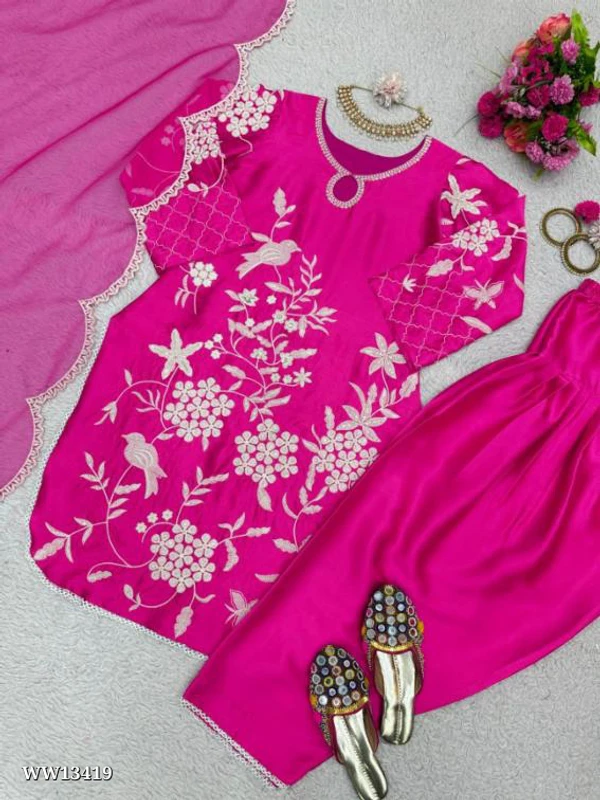 Patiyala Suit Threads Embroidery Sequence Work  - M