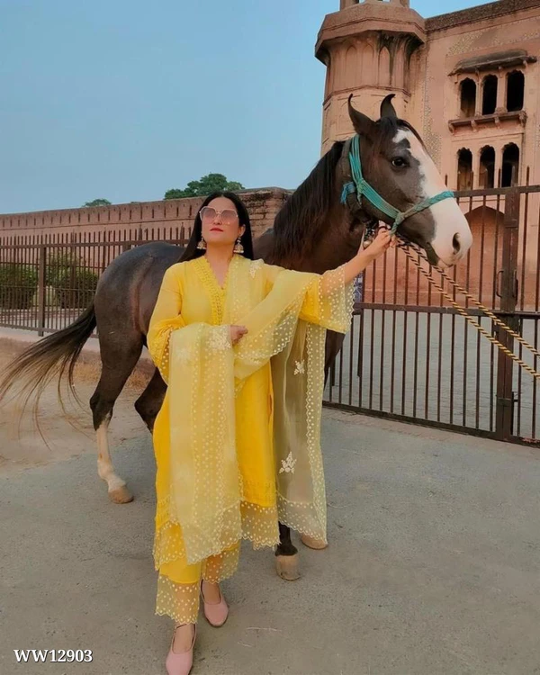 Beautiful Festival Wear Dupatta Set - Yellow, xl