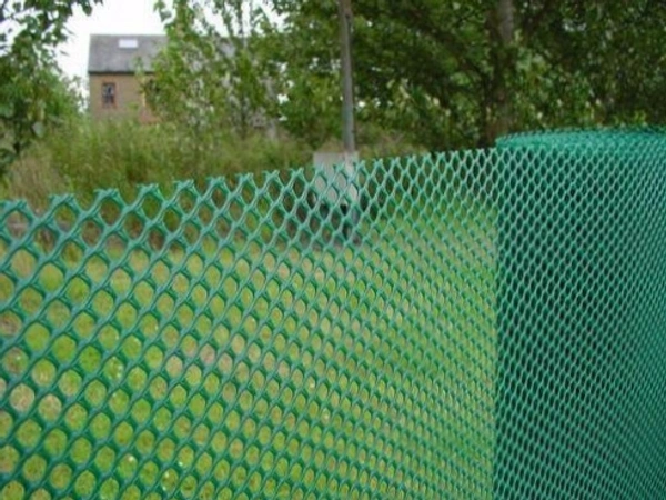 GREEN JAALI Kabutar Jalli 