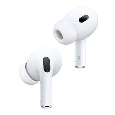 Earphones