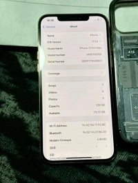 iPhone 12 Pro Max Truetone Error & Display Changed - White