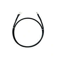 Microtek Battery Connecting DC Cable 10 Sq. mm with Pin and Ring Lugs - 1 + 1 Meter