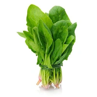 Palak Saag (Spinach)  - 250 gm