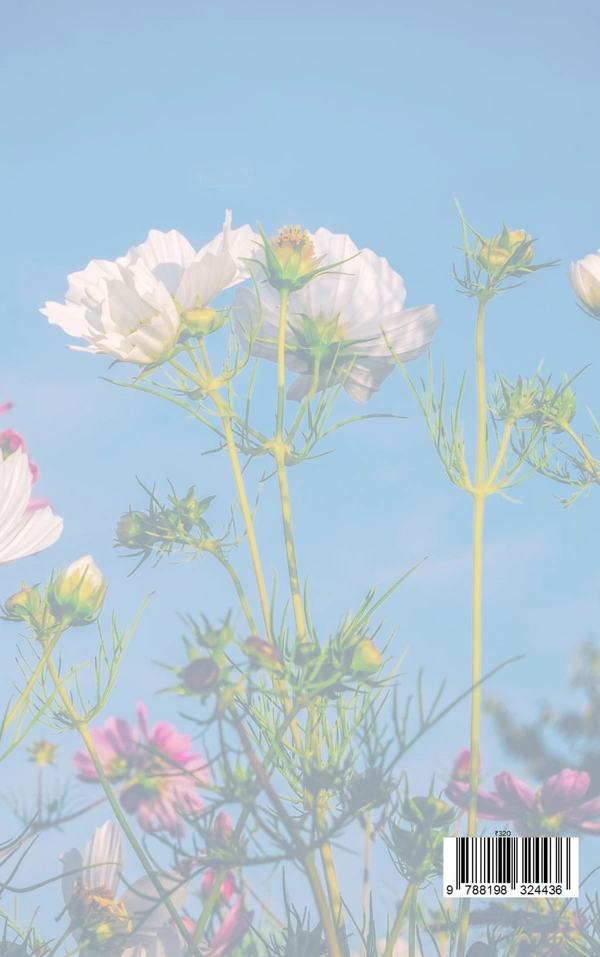 A Garden Of Lost Words 