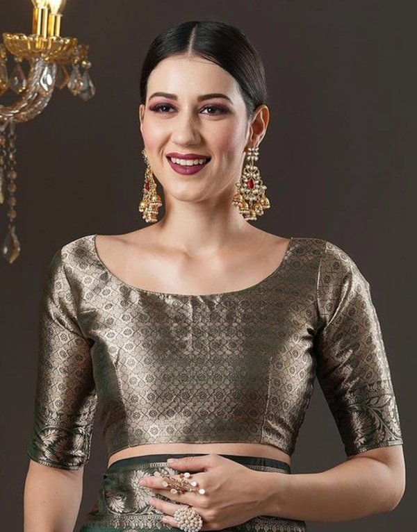 Clearance Mela Special,Fancy Premium Organza Silk Saree - Free 🆓
