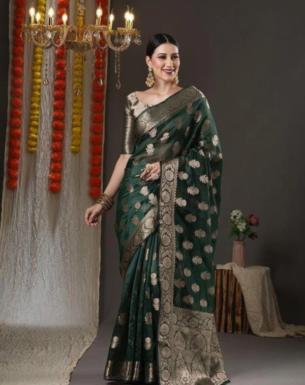 Clearance Mela Special,Fancy Premium Organza Silk Saree - Free 🆓