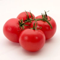 Om Sakthi Vegetables  - Logo