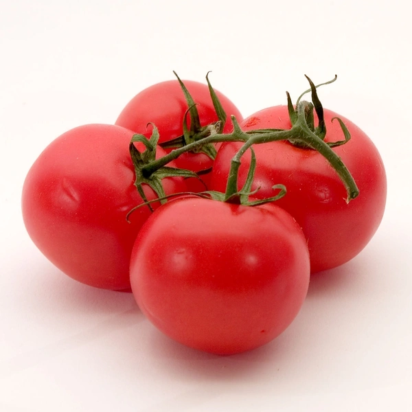 Tomatto - red, circle 