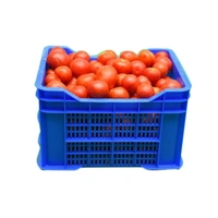 Tomatto Whole Sale - red, circle 