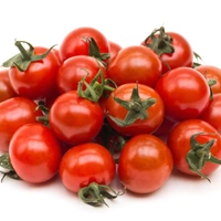 Tomatto Whole Sale - red, circle 