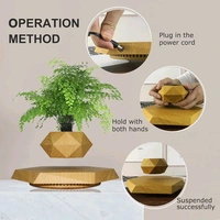 Wooden Themed Floating Levitating & Rotating Pot- Defying Natural Gravity | Perfect Bonsai Planter | Unique Precious Lavish Gift | Home Office Livingroom Decor Item