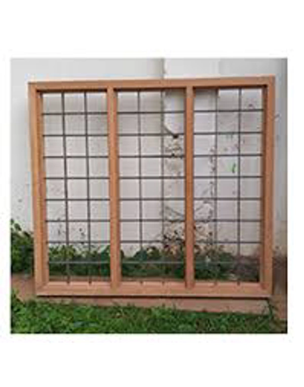 Window