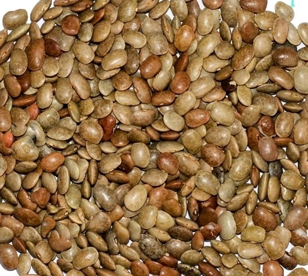 ULAVALU| ఉలవలు |Horse Gram