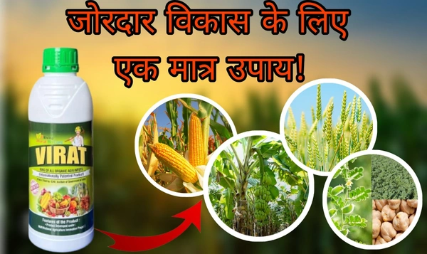 VIRAT 1LTR