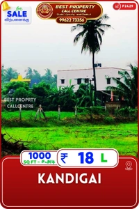 Kandigai - 1000