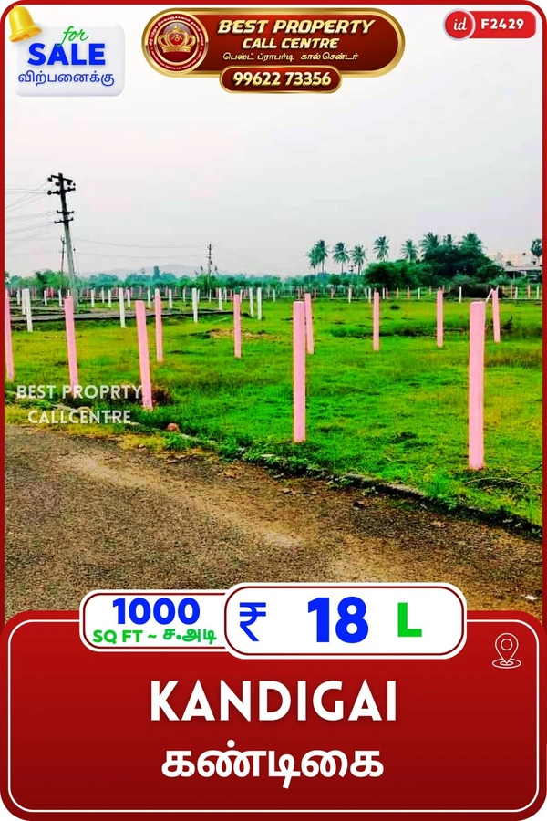 Kandigai - 1000