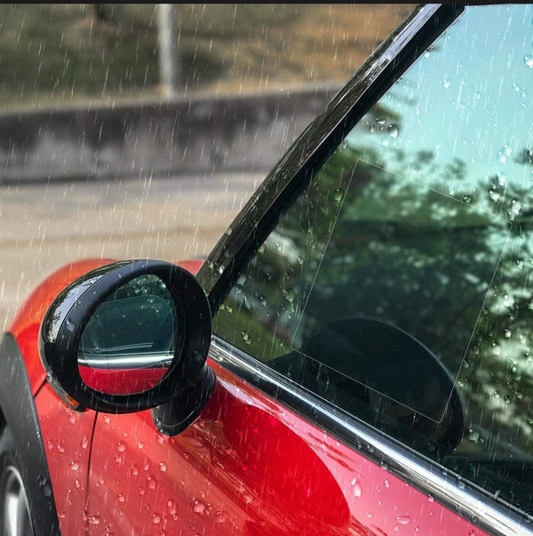 Car Side Mirror Waterproof Cover Shield.