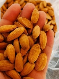 Kashmiri Organic Mamra Almonds (Per 500 g) - 500GRM