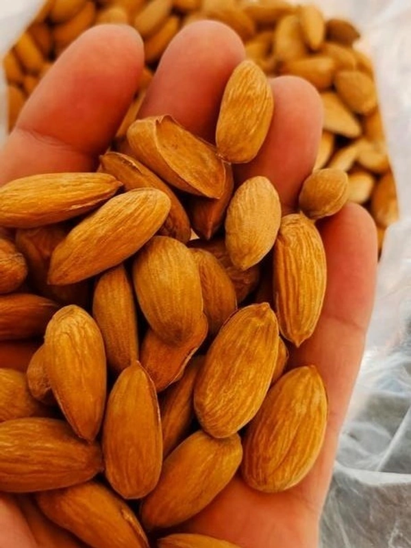 Kashmiri Organic Mamra Almonds (Per 500 g) - 500GRM