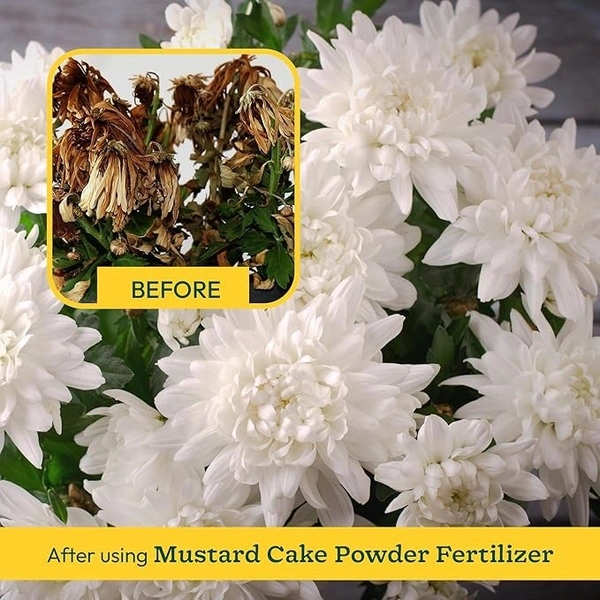 Kalyankari Mustard Cake Fertilizer-900grm | 100% Organic Cold-Pressed | Natural NPK Plant Food | Growth Booster for Flowers, Vegetables & Indoor Plants | Eco-Friendly Manure (Pure Mustard Oil Cake) - 900 grm