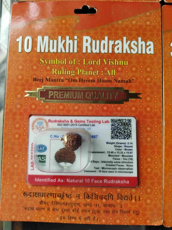 Astro Planet  10 Mukhi Rudraksha  - Brown