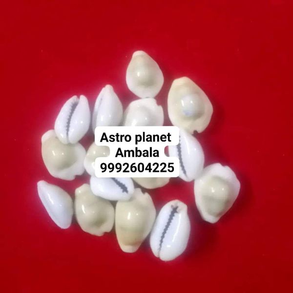 Astro Planet  Yellow Kodi - White, Mix