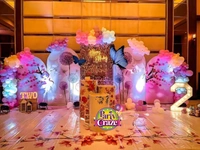 Butterfly Theme 