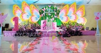 Special Butterfly Theme 