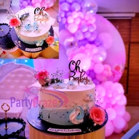 Sofia The Princess Theme 