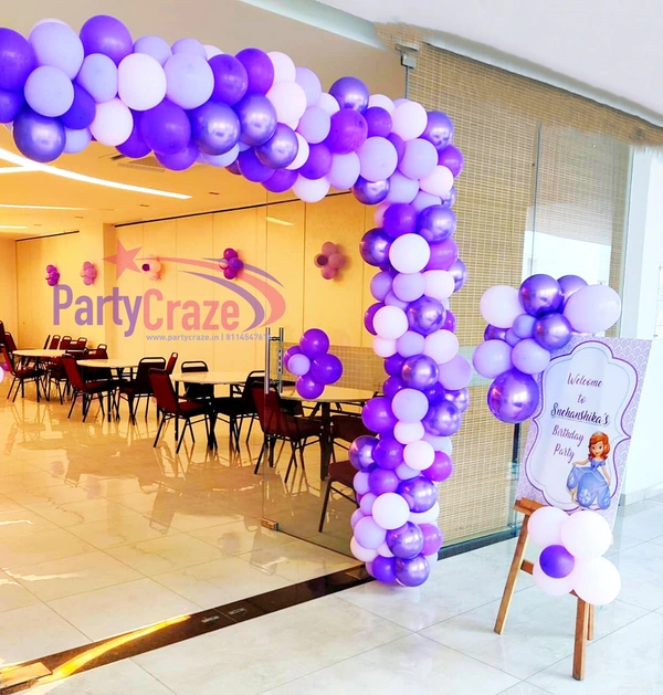 Sofia The Princess Theme 