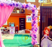 Sofia The First Princess Theme
