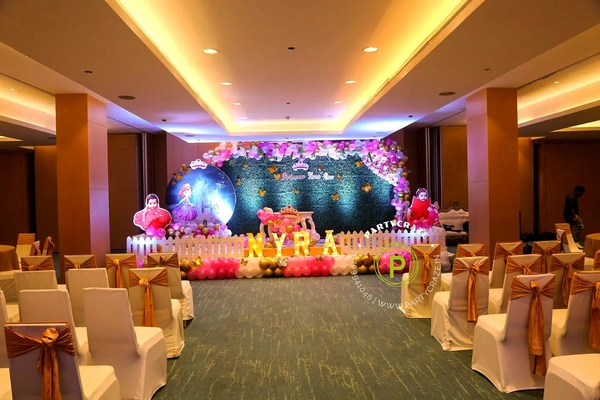 Sofia The Princess Theme 