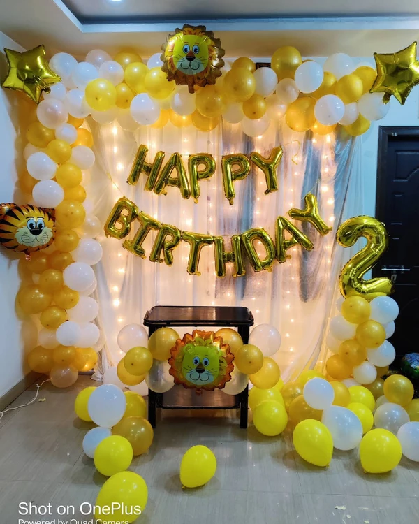 Kids Birthday Decor 60