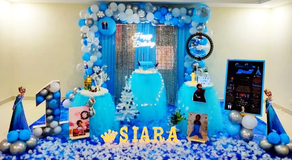 Frozen Theme  Kids Birthday Decor 81