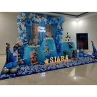 Frozen Theme  Kids Birthday Decor 81