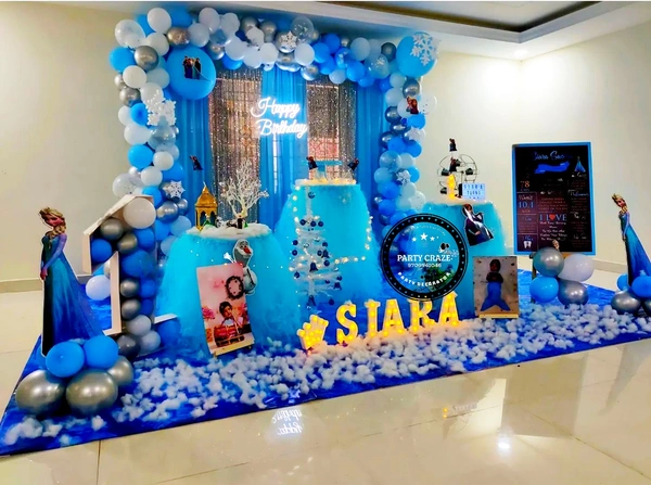 Frozen Theme  Kids Birthday Decor 81